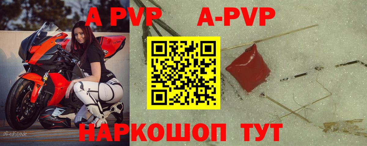 Alfa_PVP СК КРИС Ржев
