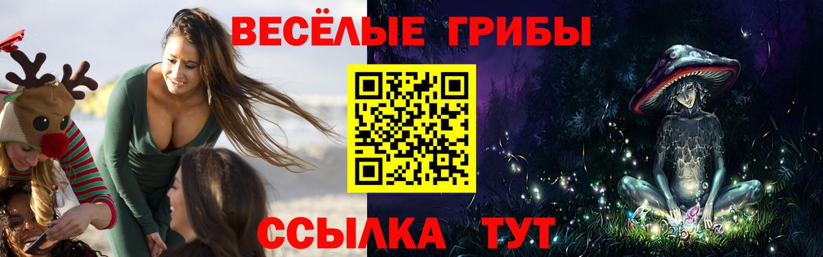 Псилоцибиновые грибы Cubensis  Вход с VPN  Ржев 